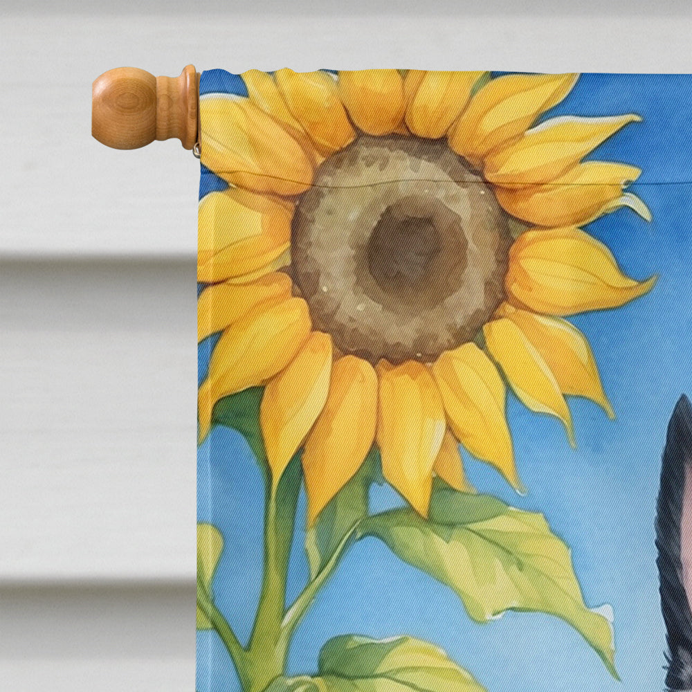 Scottish Terrier in Sunflowers House Flag