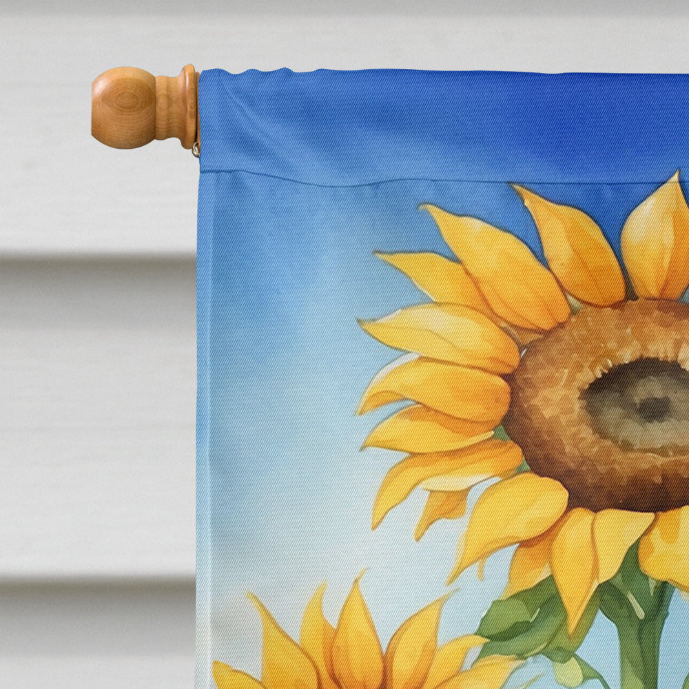 Silky Terrier in Sunflowers House Flag