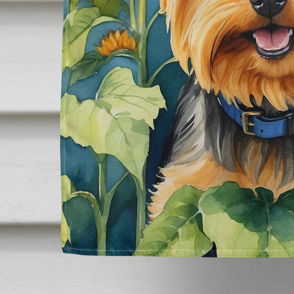 Silky Terrier in Sunflowers House Flag