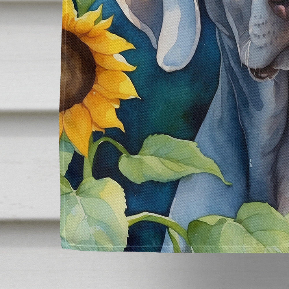 Weimaraner in Sunflowers House Flag