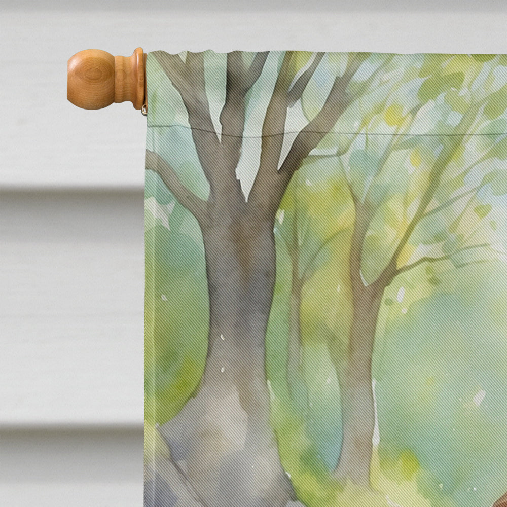 American Water Spaniel Spring Garden House Flag