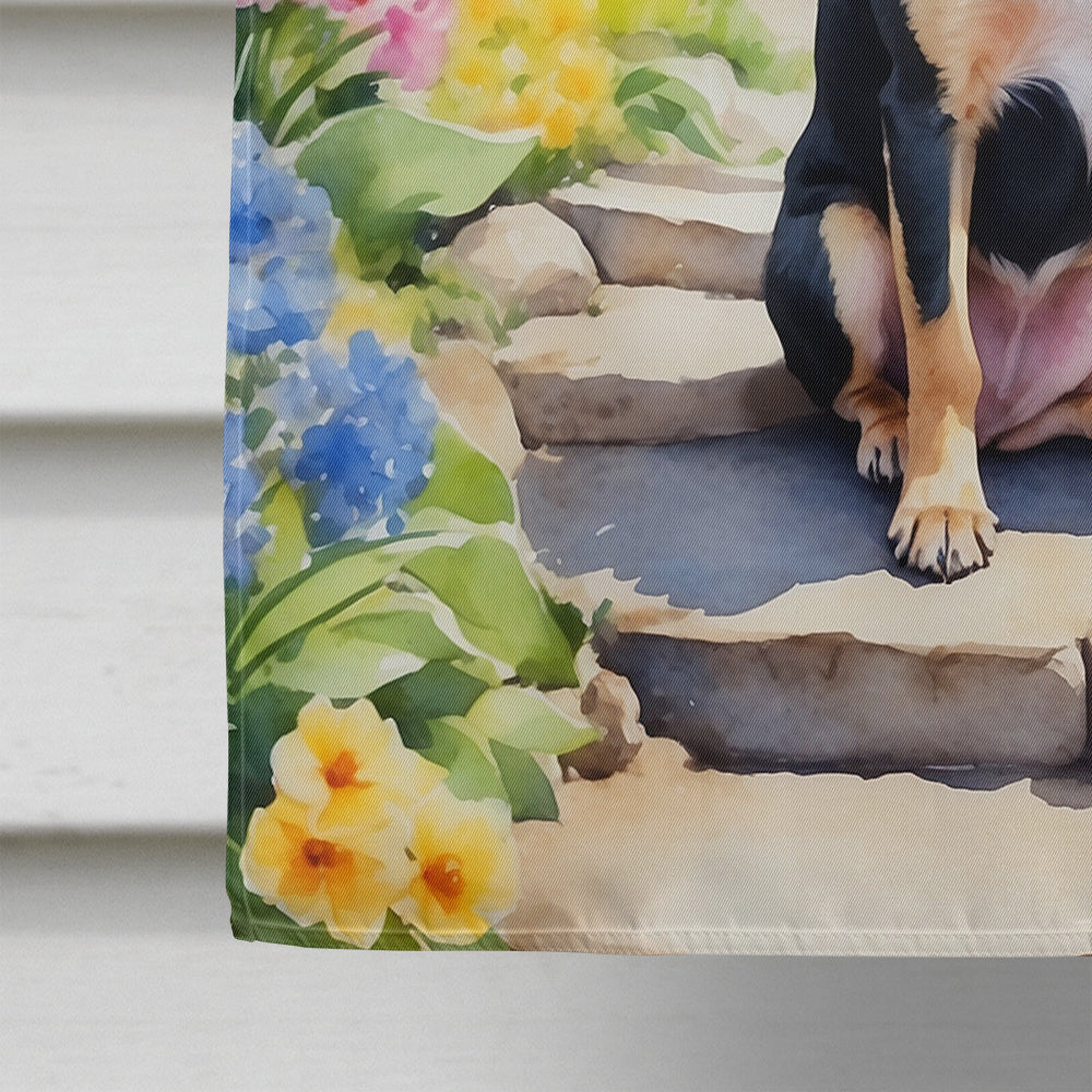 Chihuahua Spring Path House Flag