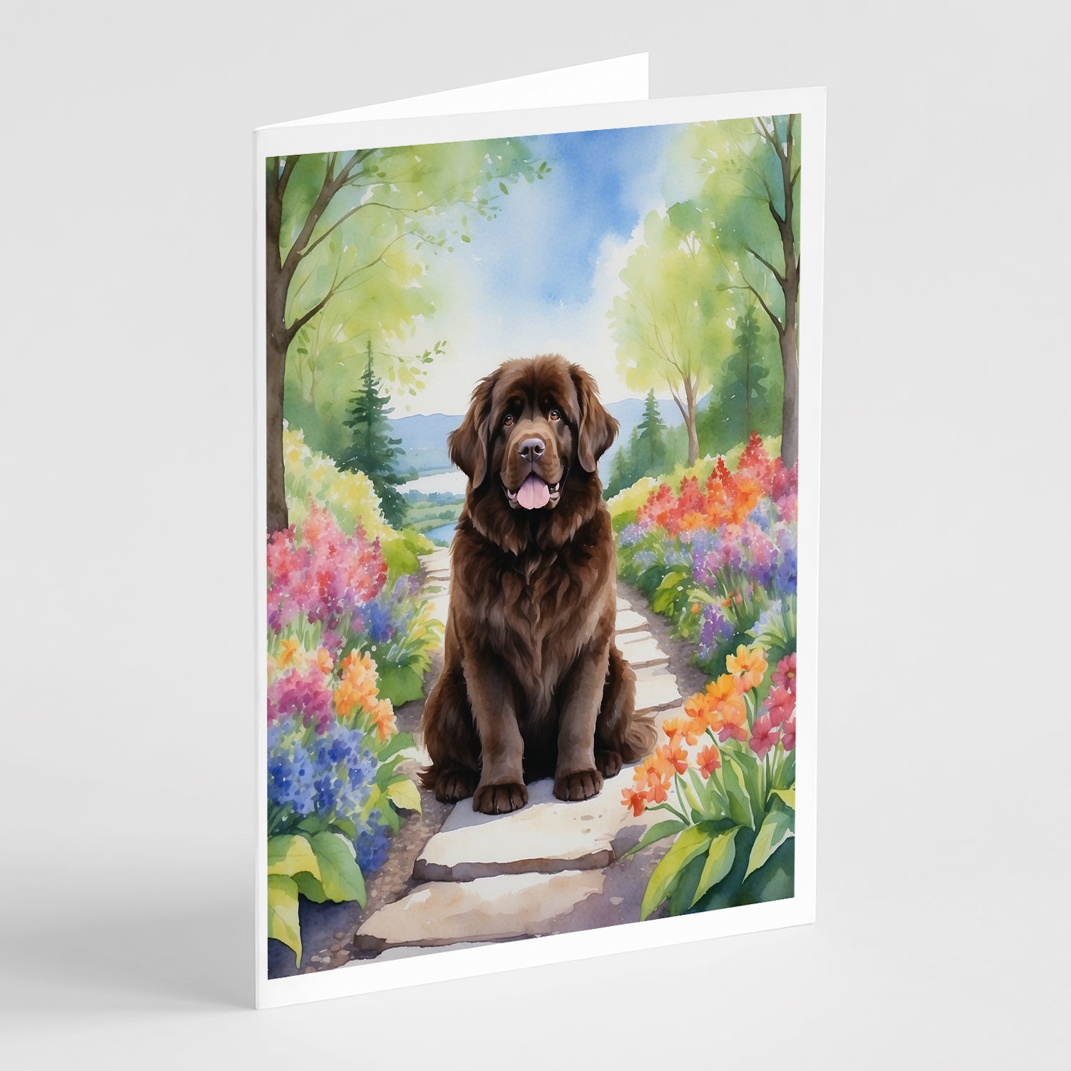 Buy this Newfoundland Spring Path Greeting Cards Pack of 8