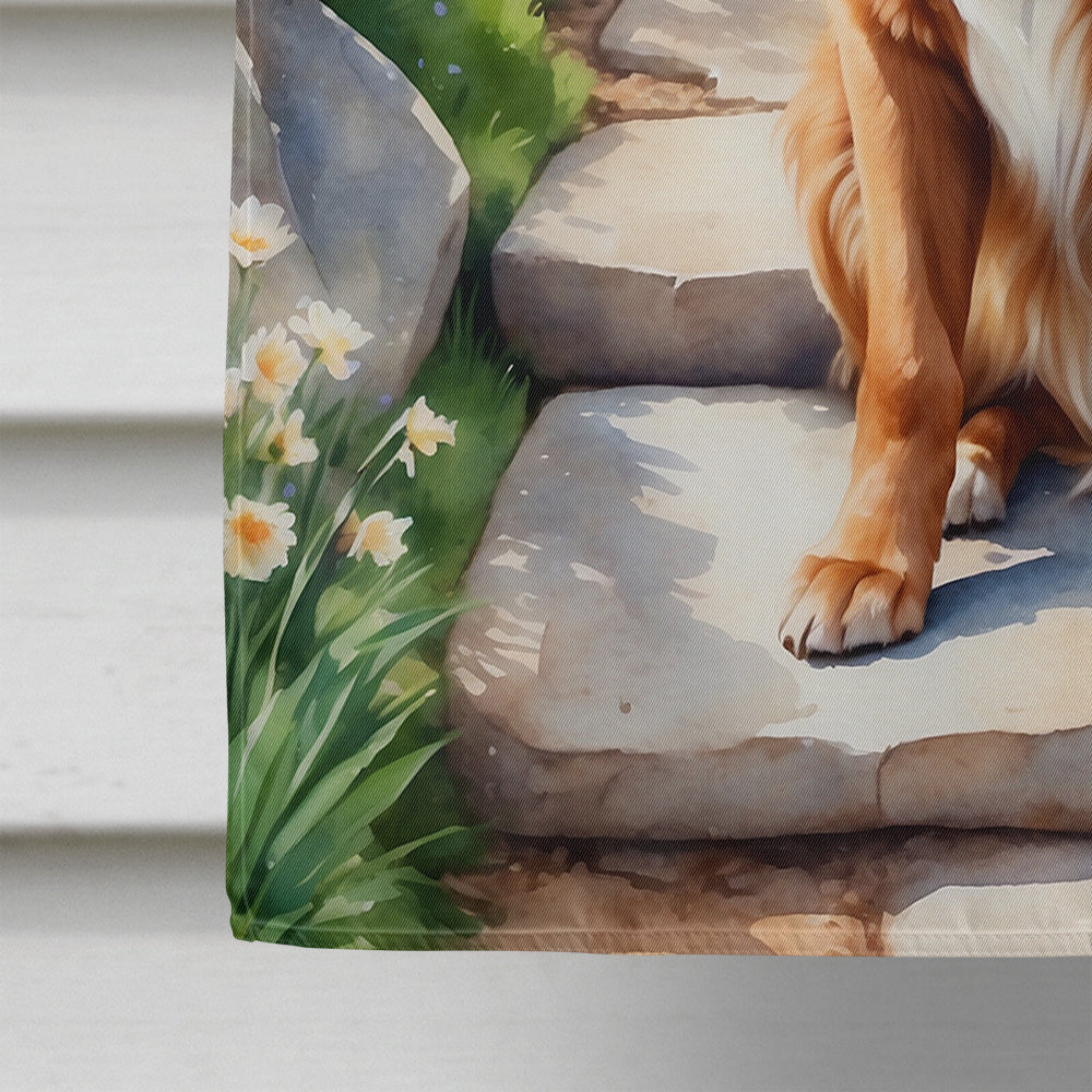 Nova Scotia Duck Tolling Retriever Spring Path House Flag