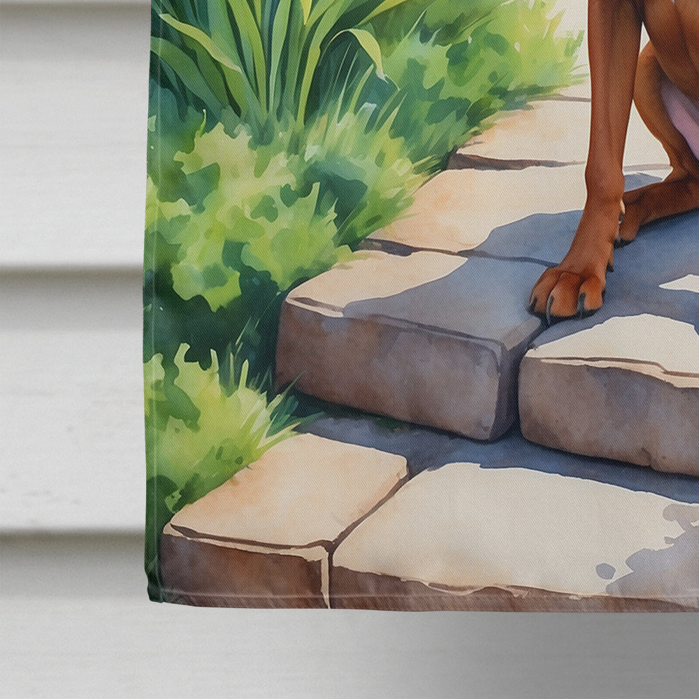 Redbone Coonhound Spring Path House Flag