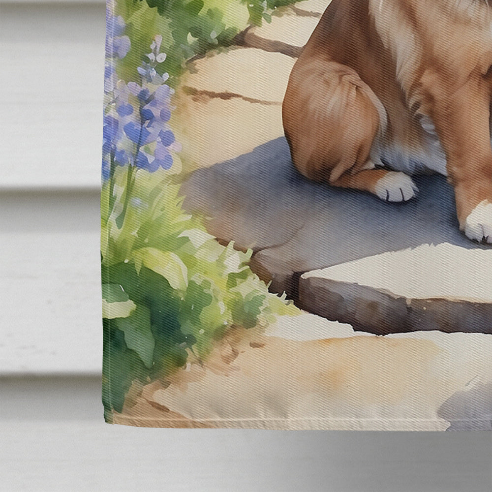 Tibetan Spaniel Spring Path House Flag