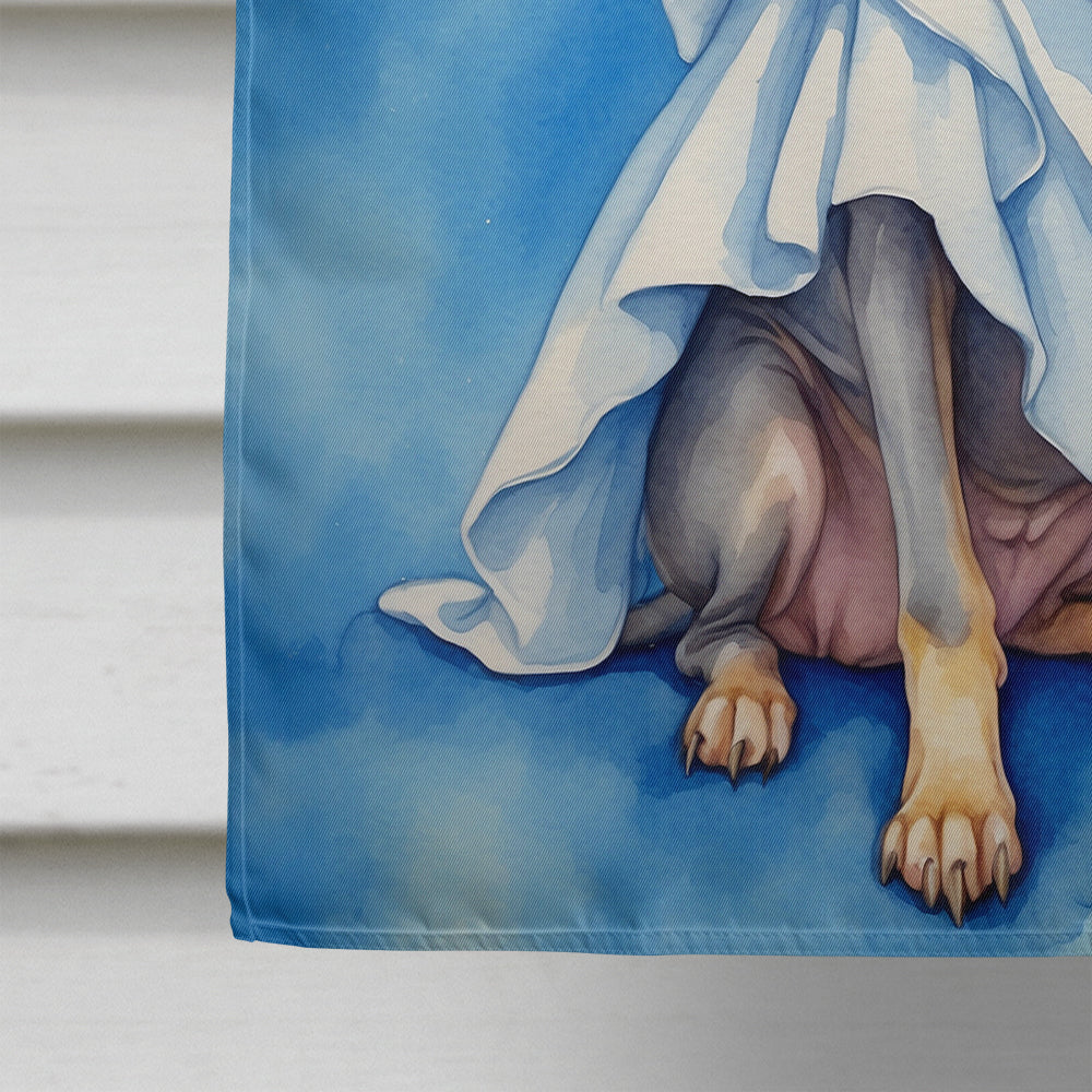 American Hairless Terrier My Angel House Flag