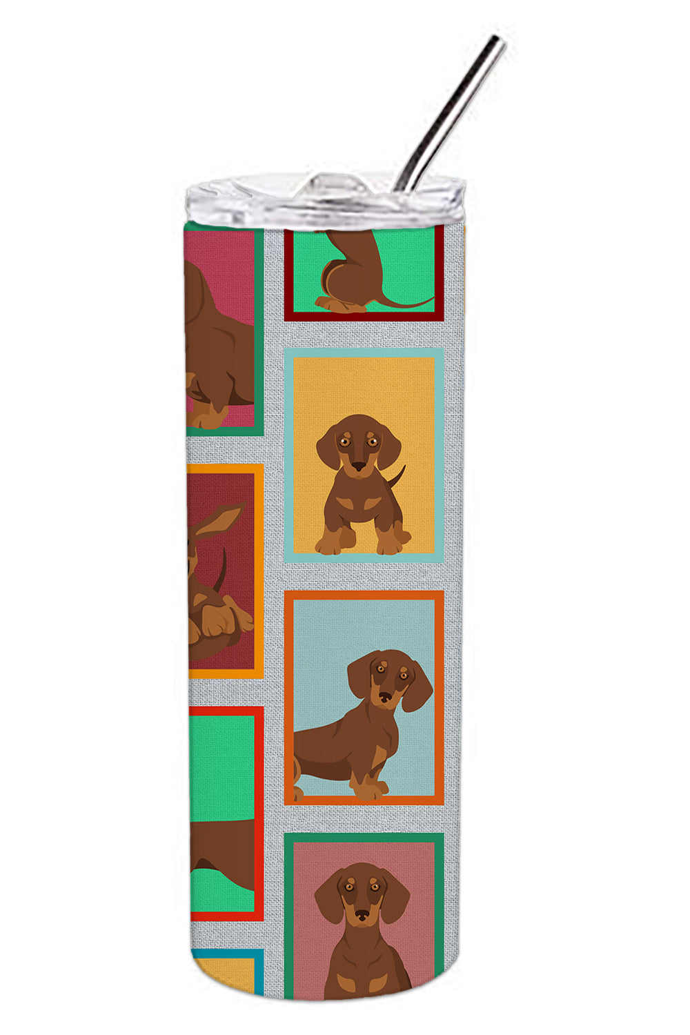 Lots of Chocolate and Tan Dachshund Stainless Steel Skinny Tumbler