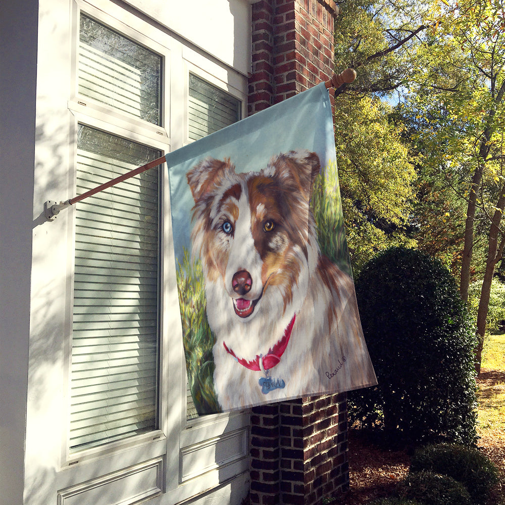 Australian Shepherd Scarlet Flag Canvas House Size PPP3009CHF