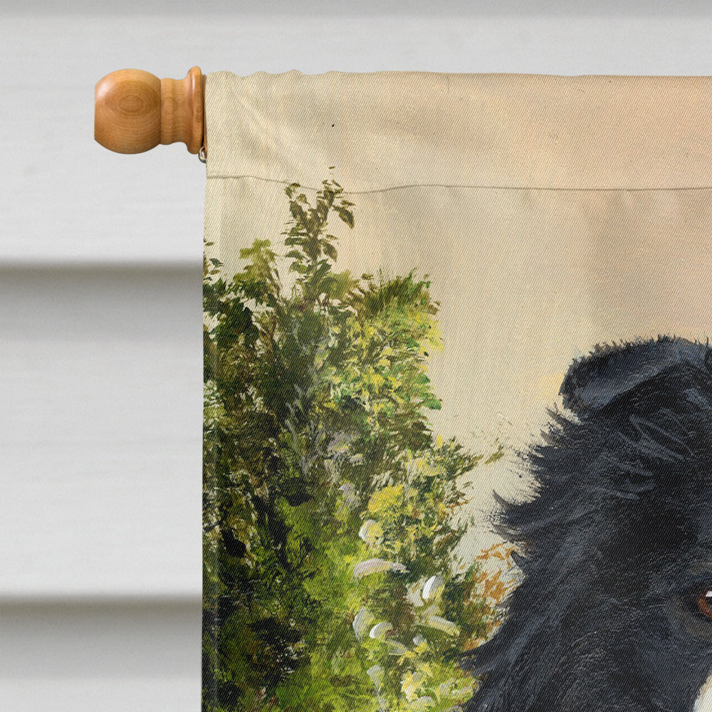 Border Collie Simplicity Flag Canvas House Size PPP3031CHF