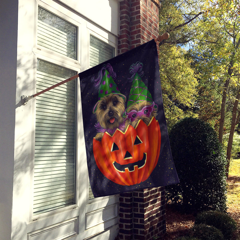 Cairn Terrier Halloween PeekaBoo Flag Canvas House Size PPP3056CHF