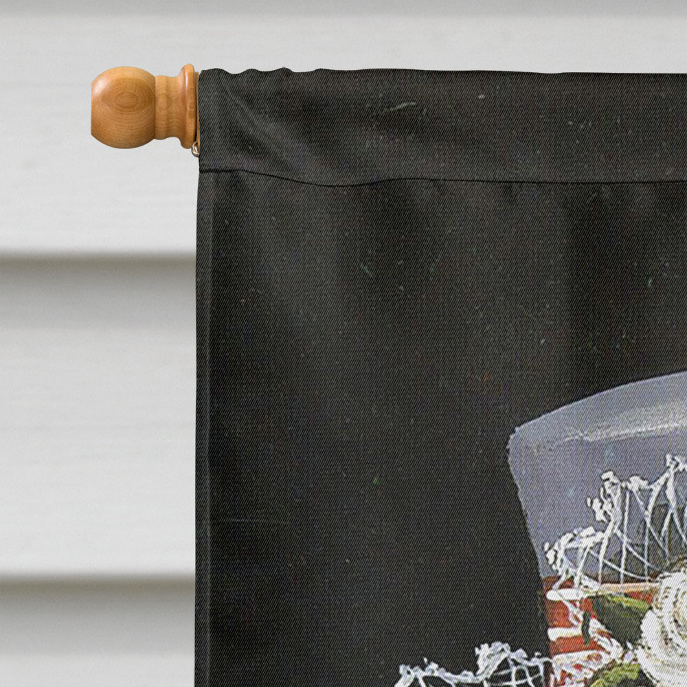 Cavalier Spaniel Stella Flag Canvas House Size PPP3068CHF