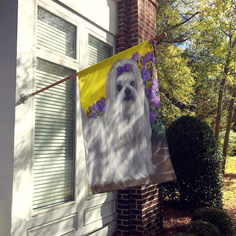 Maltese Patio Princess Flag Canvas House Size PPP3113CHF