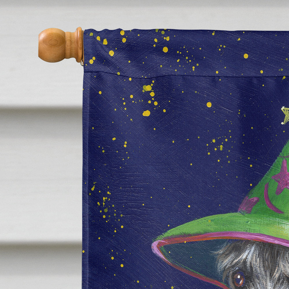 Schnauzer Halloween Good Witch Flag Canvas House Size PPP3159CHF